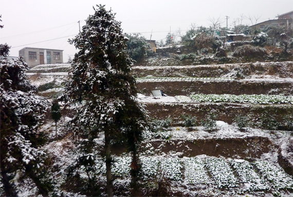 雪