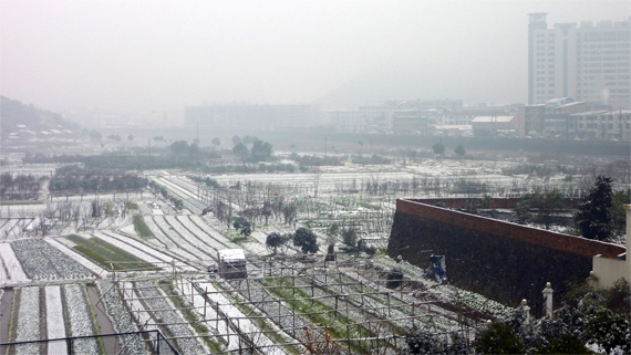雪