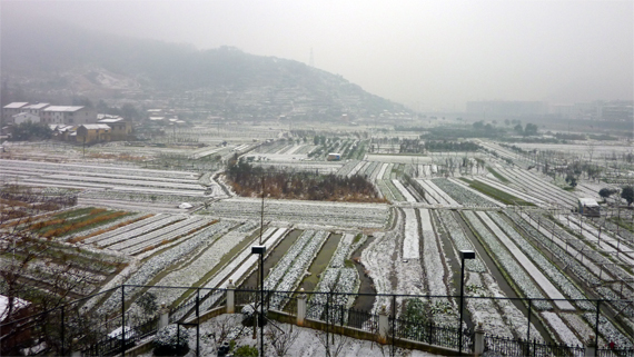 雪
