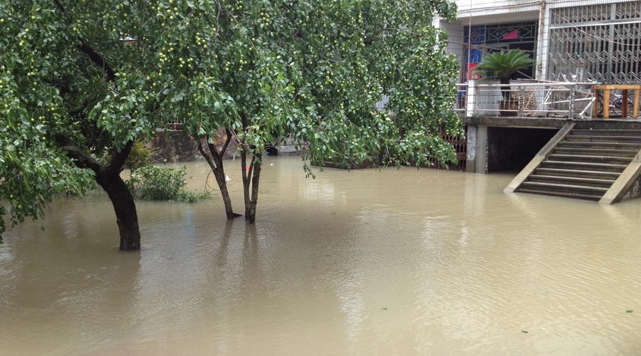 台风海葵,海葵,台风,苏拉,11号台风,2012台风