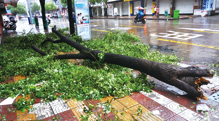 台风海葵,海葵,台风,苏拉,11号台风,2012台风